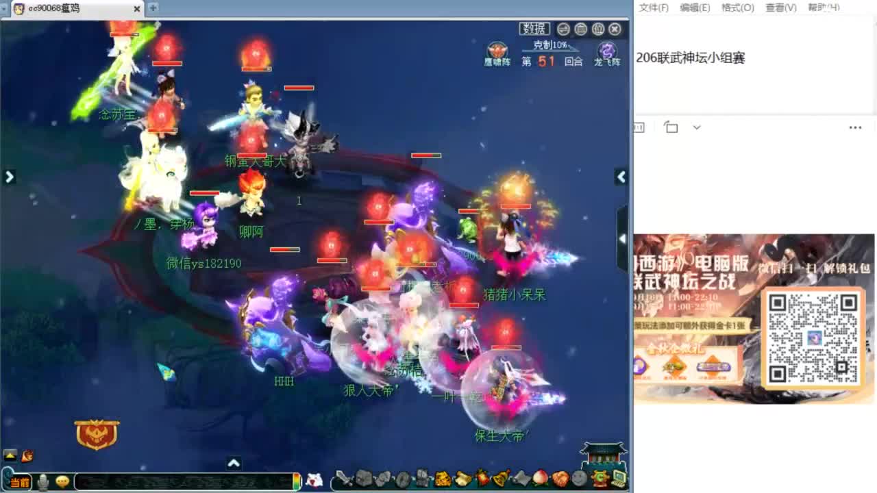 解说西栅206联服战！ 第3段