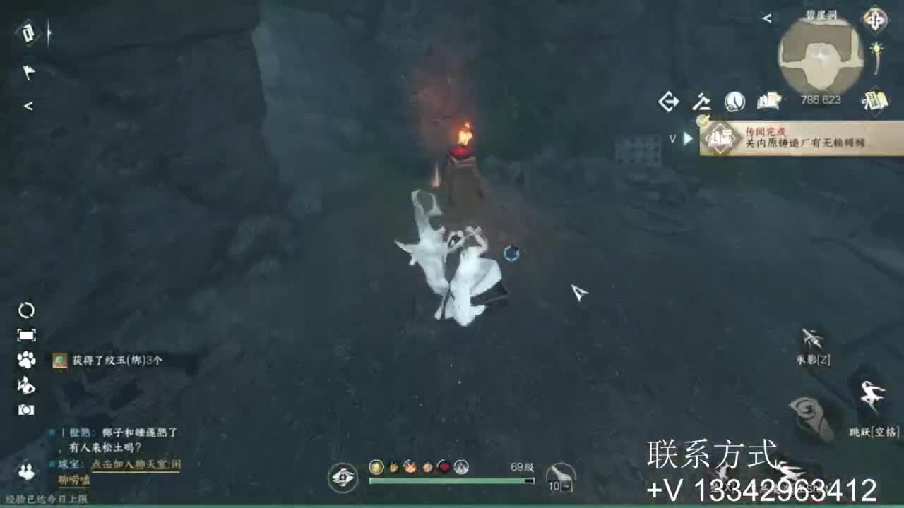 免费看号专业团队接66论武比赛 第10段