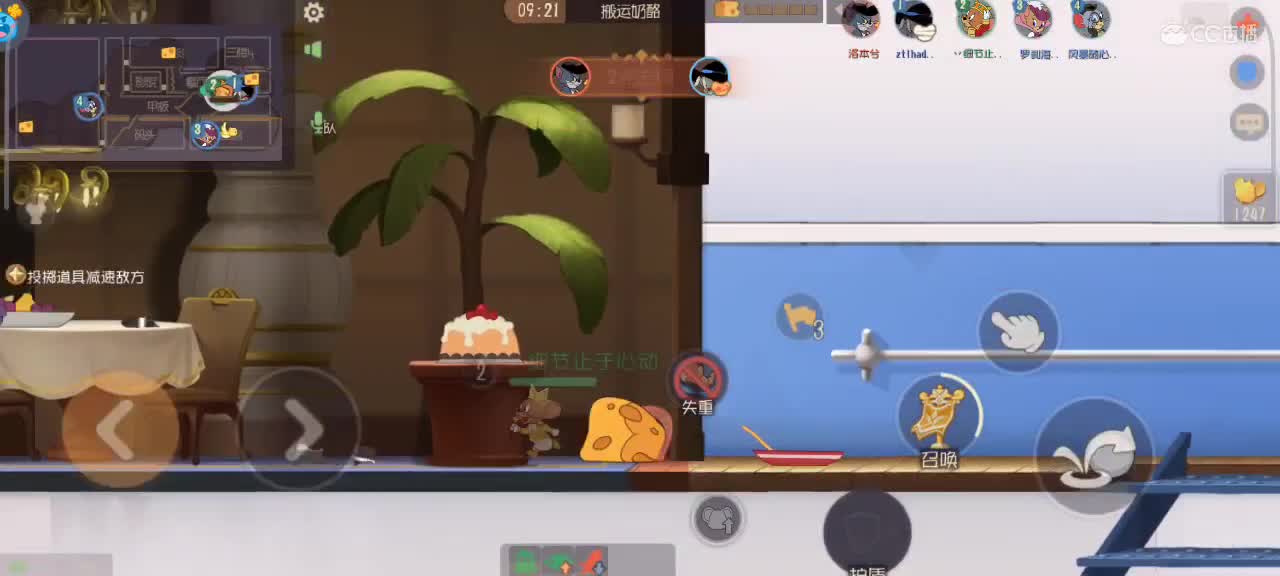 夜晚猫鼠天梯，来个猫单 第4段