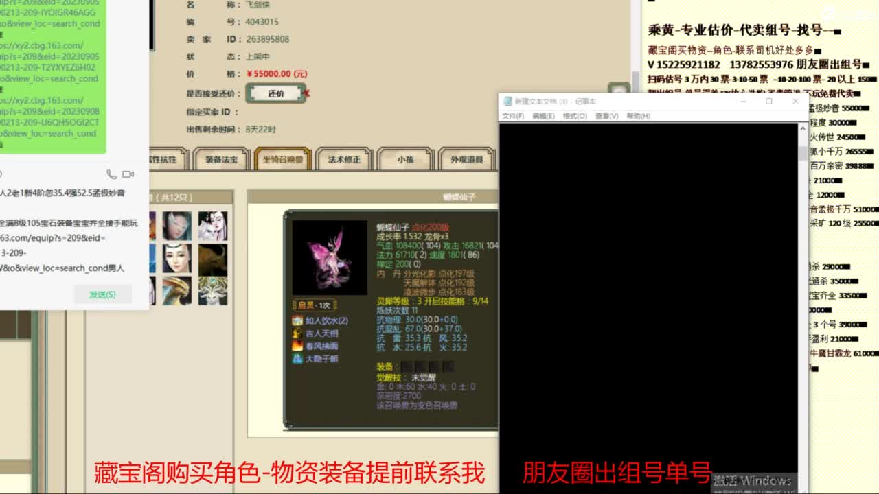 乘黄-专业估价-代卖组号单号配装调抗 第7段
