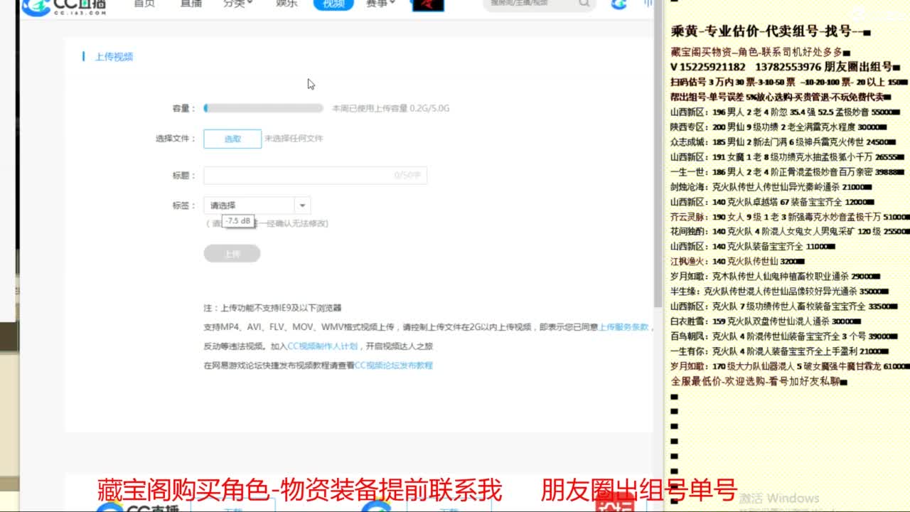 乘黄-专业估价-代卖组号单号配装调抗 第9段