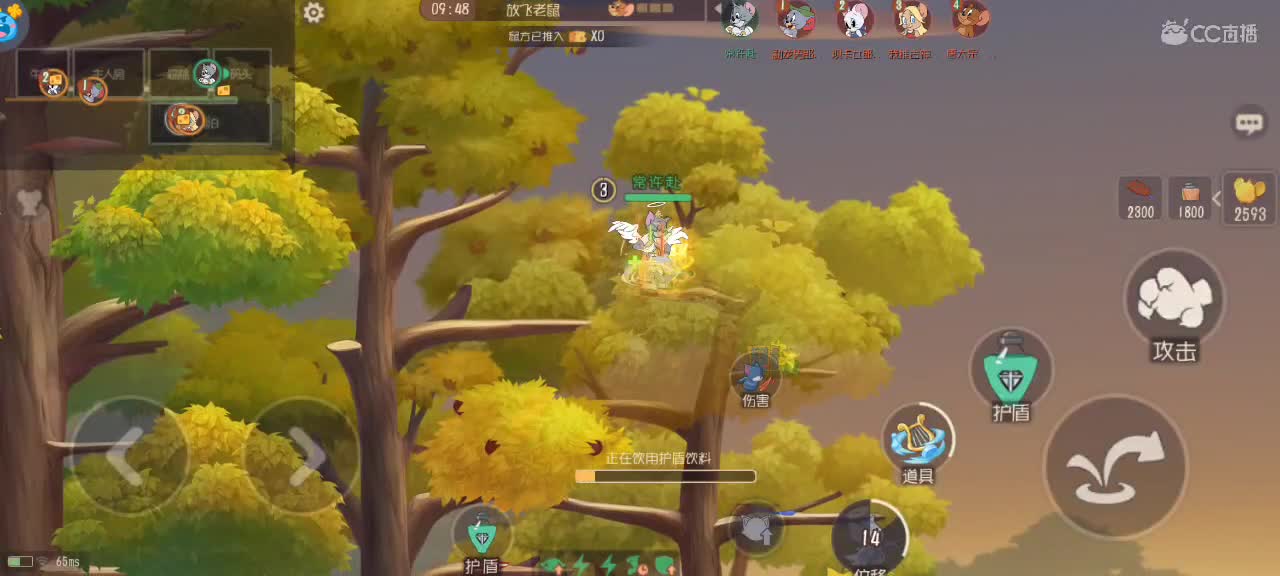 夜晚悠闲猫天梯 第1段