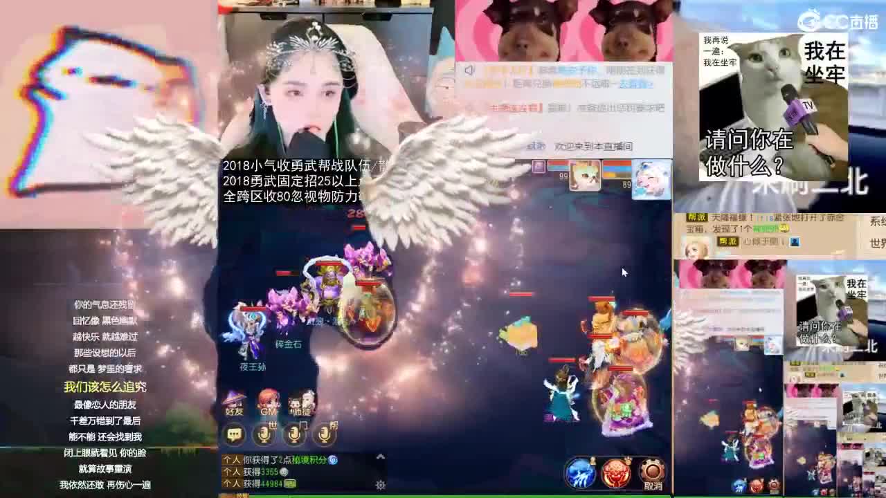 2018唱歌的勇武菜猪/点唱主播 第1段