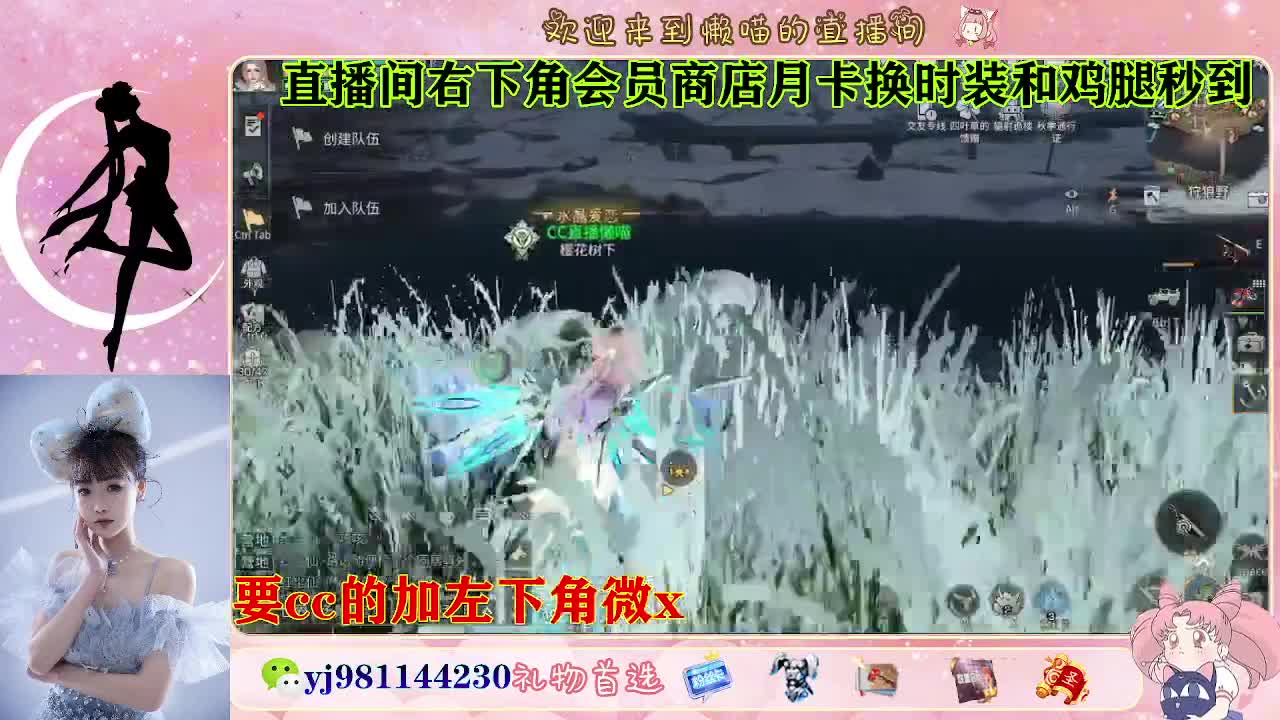 轮播录像 第7段