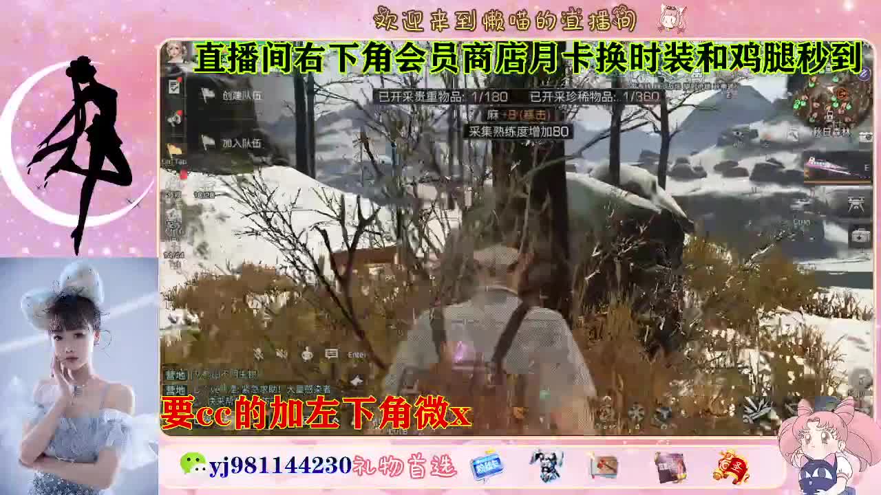 全套永久cc  全服秒发 第4段