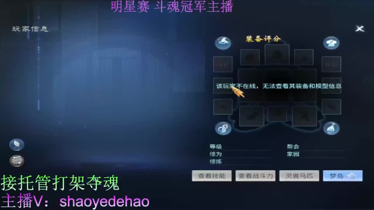 接托管打架 斗魂比武首席背饰 第5段