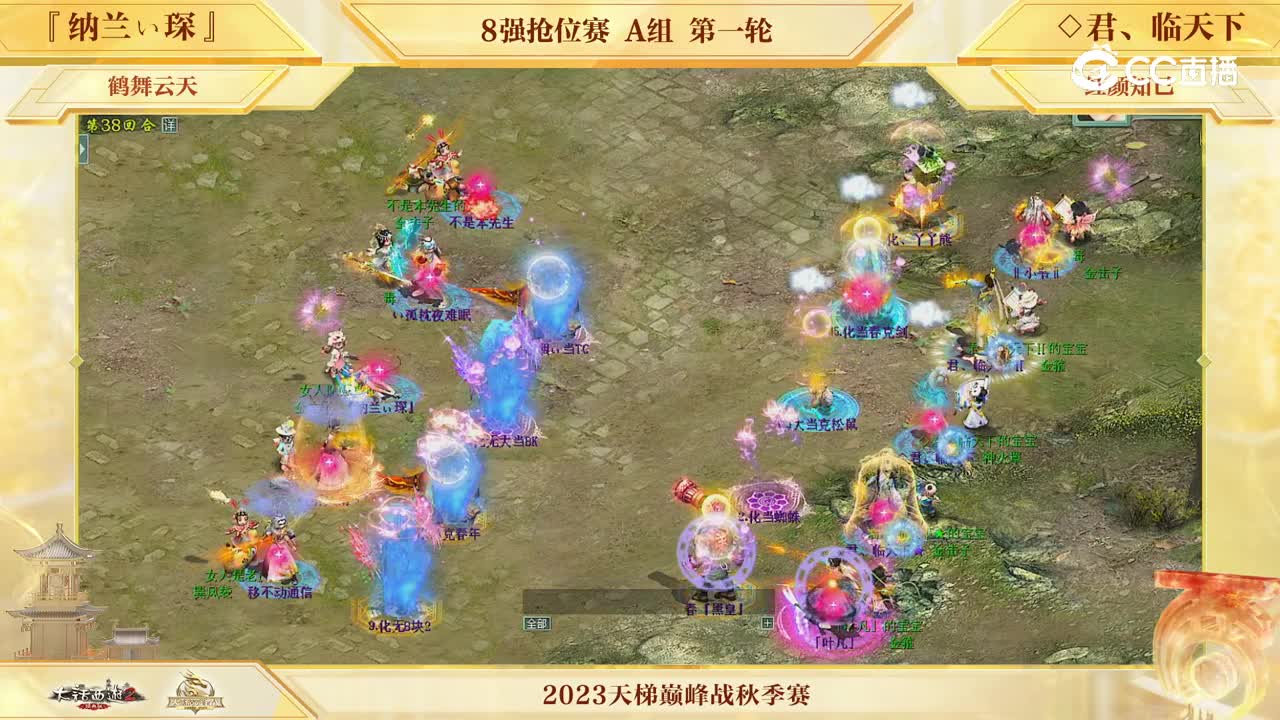 纳兰VS君临 第38回合