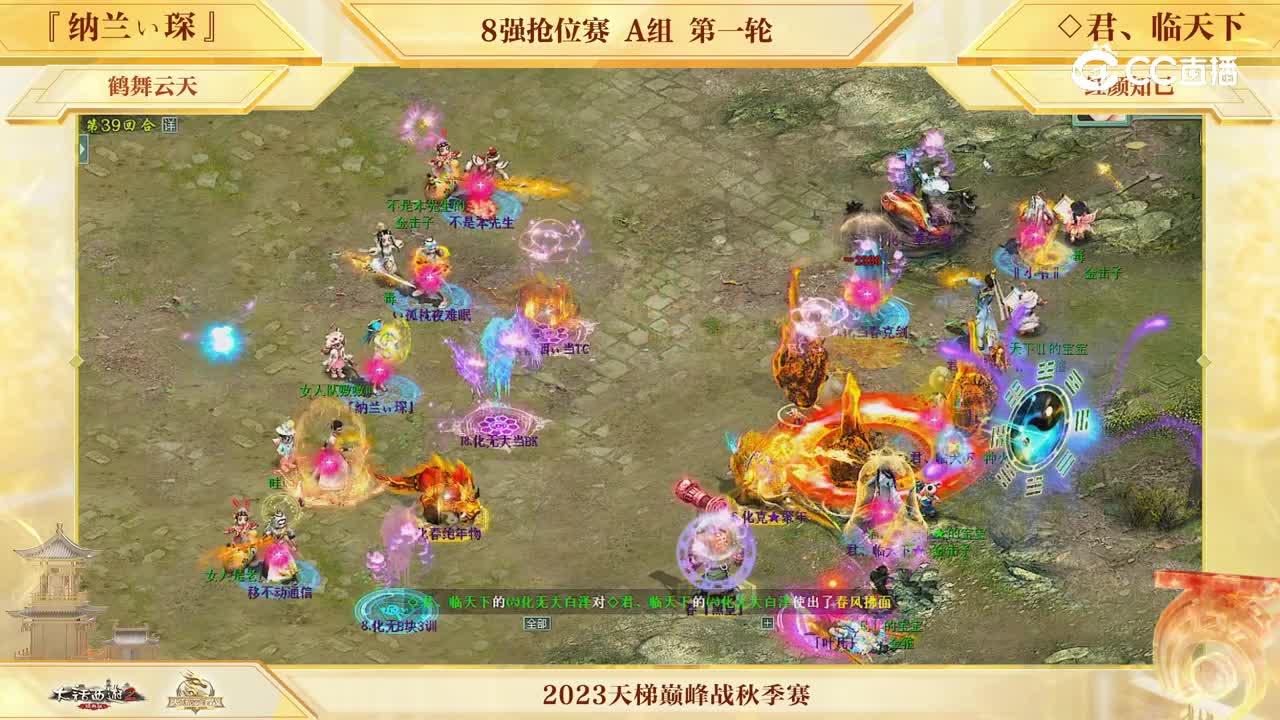 纳兰VS君临 第39回合