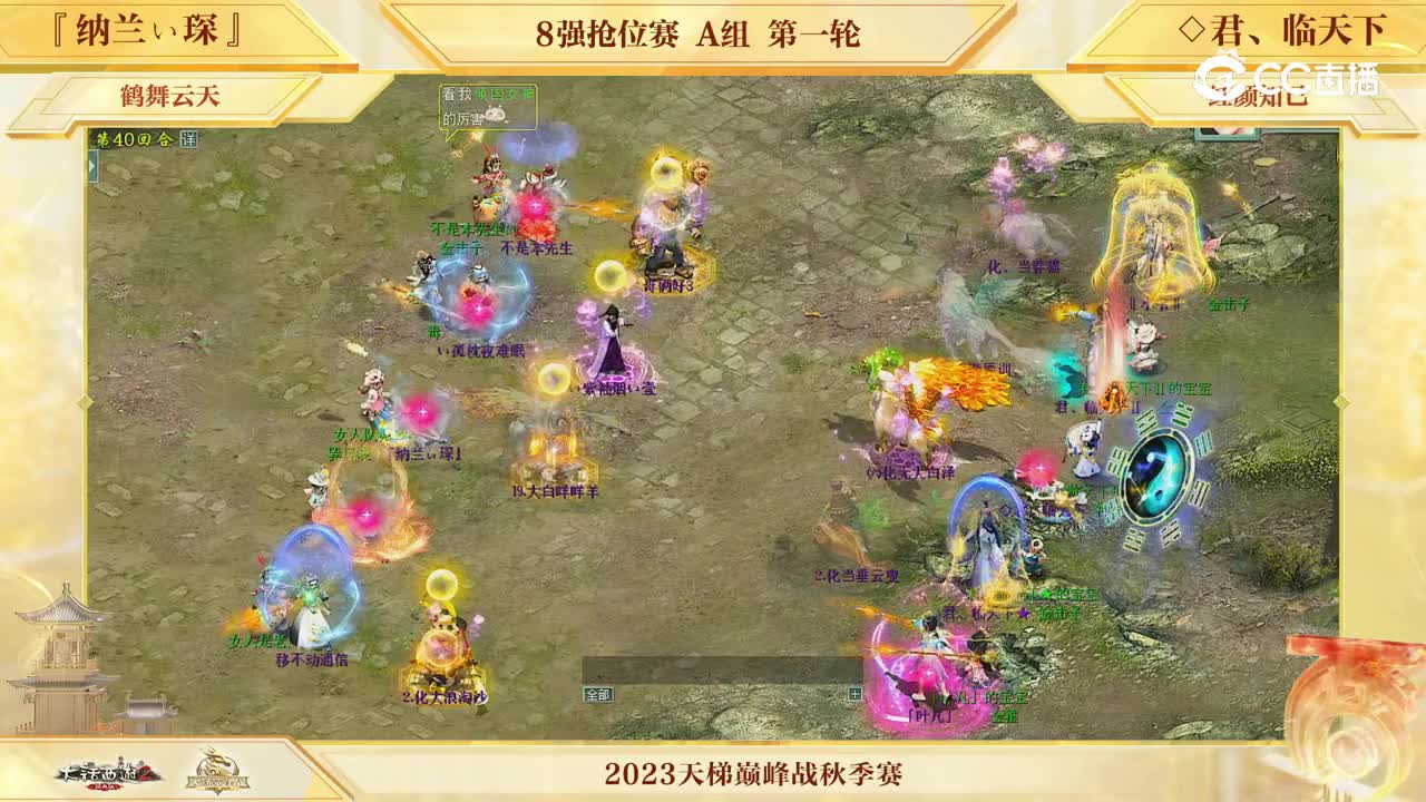 纳兰VS君临 第40回合