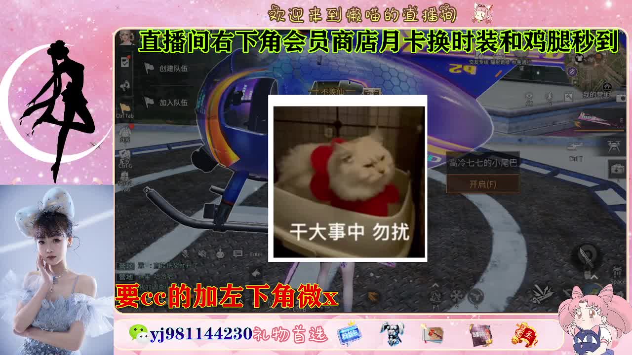 全套永久cc  全服秒发 第4段