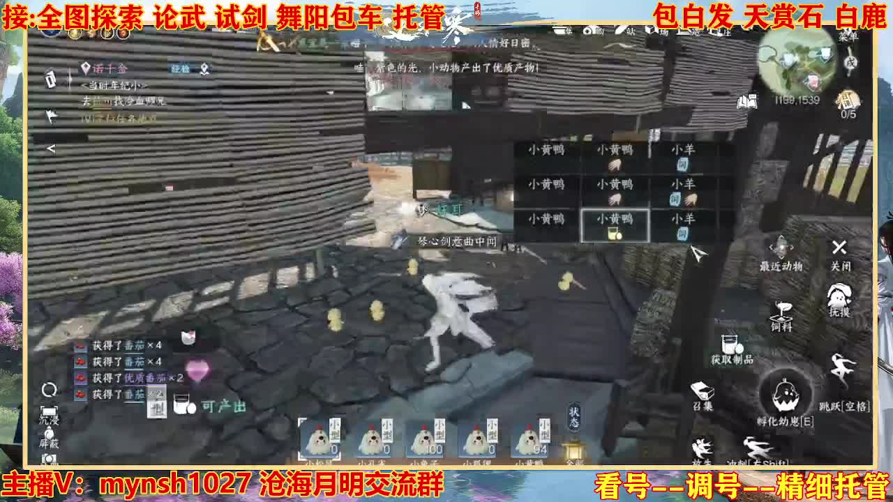 接舞阳秘境托管！ 第9段