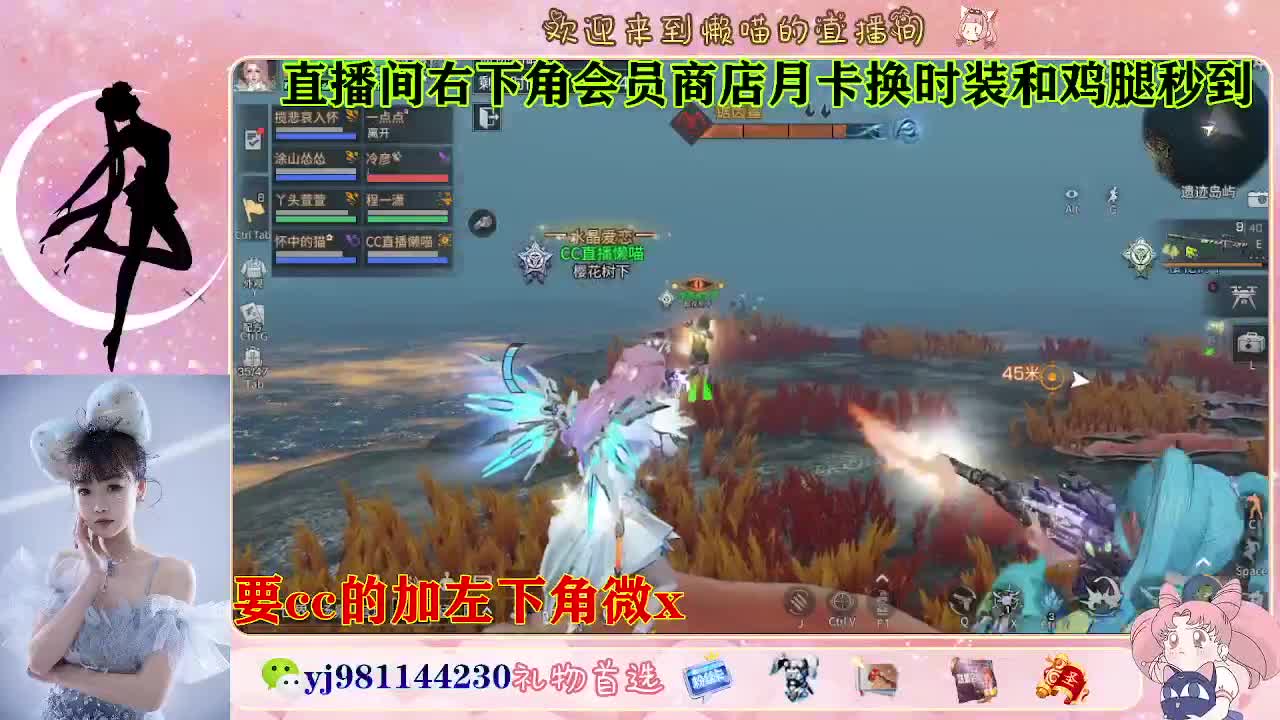 全套永久cc  全服秒发 第5段