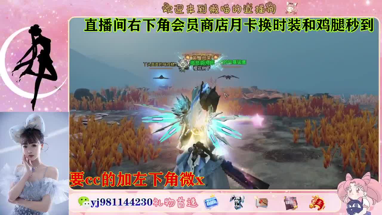 全套永久cc  全服秒发 第6段