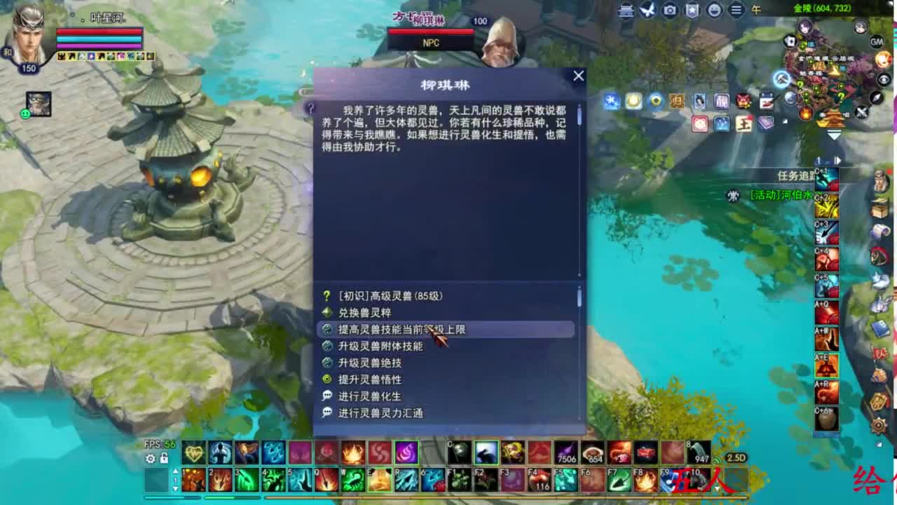 关宁打宝 第3段