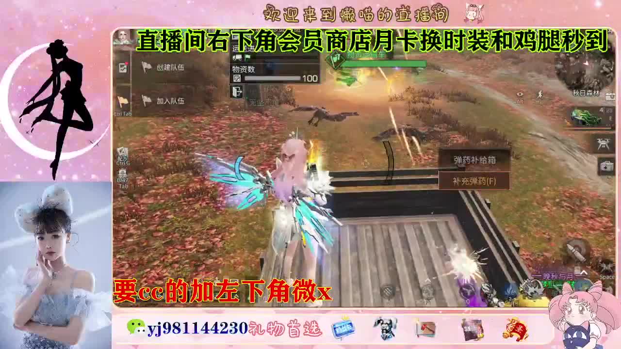 全套永久cc  全服秒发 第1段