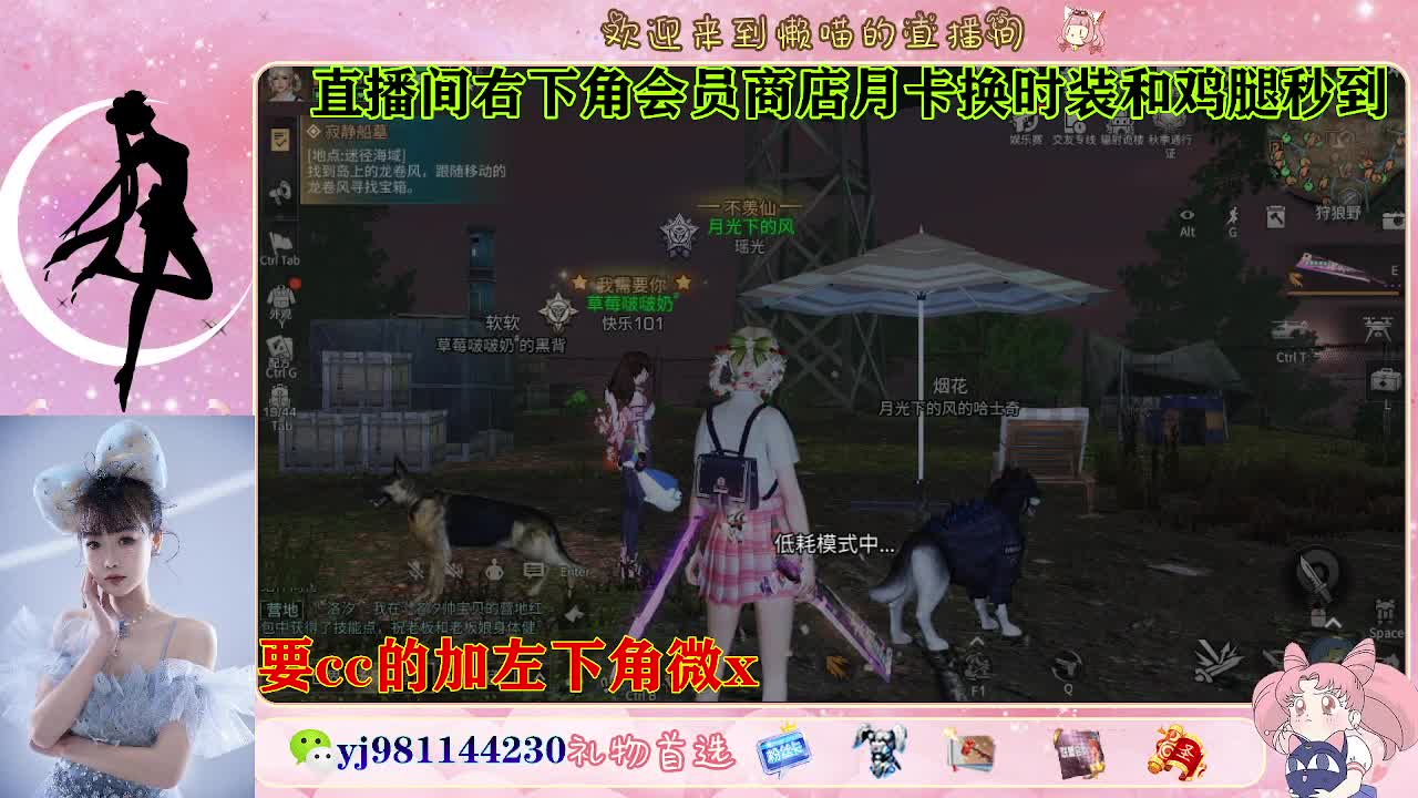 全套永久cc  全服秒发 第3段