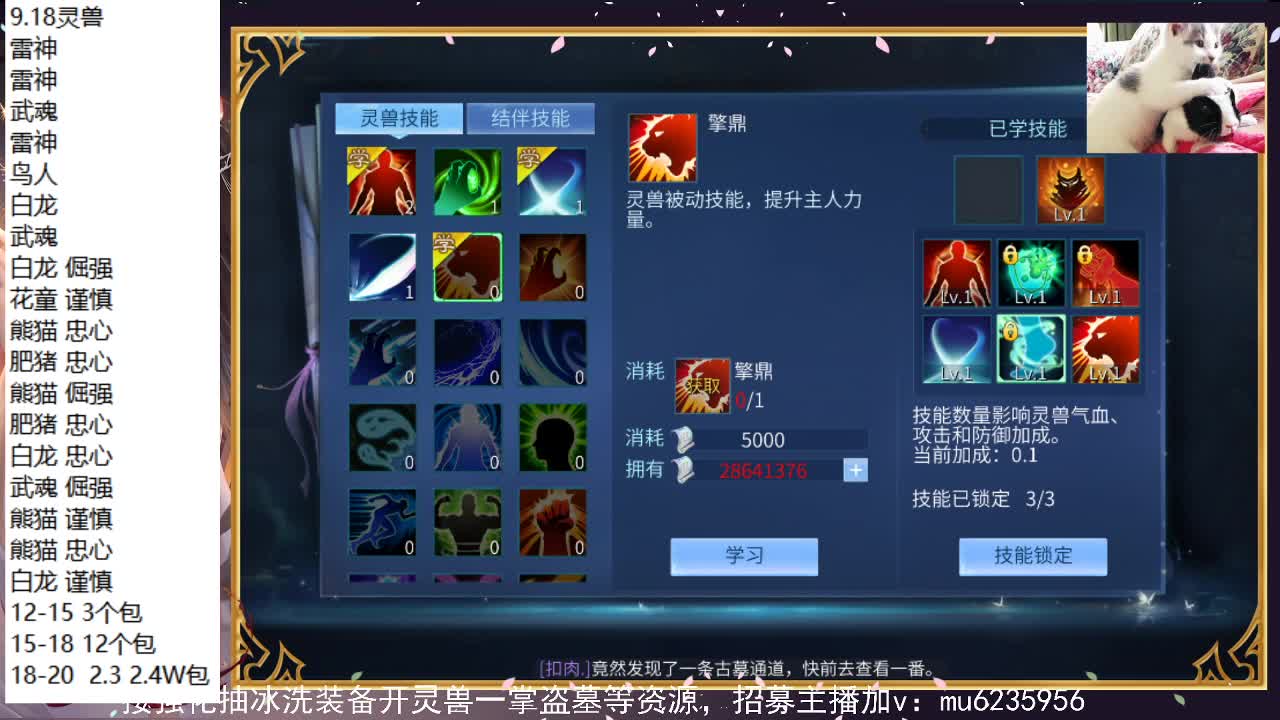 需要帮抽时装吗，资源白，包强化~ 第9段