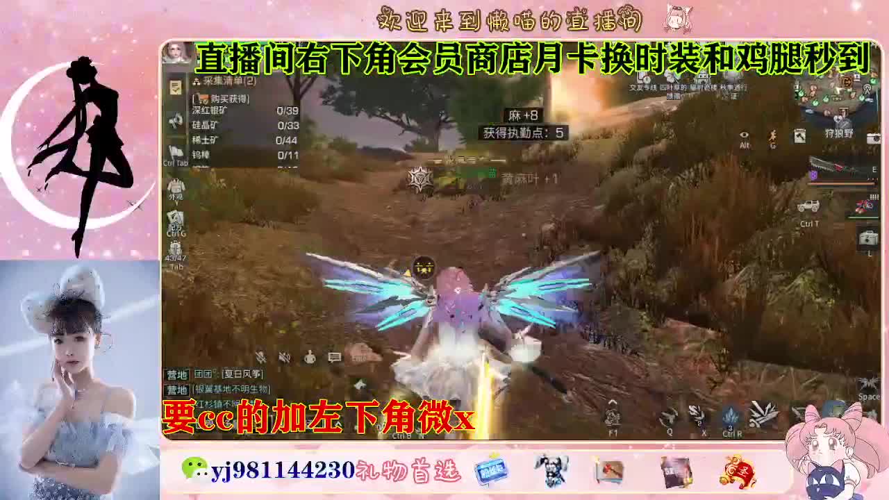 全套永久cc  全服秒发 第5段