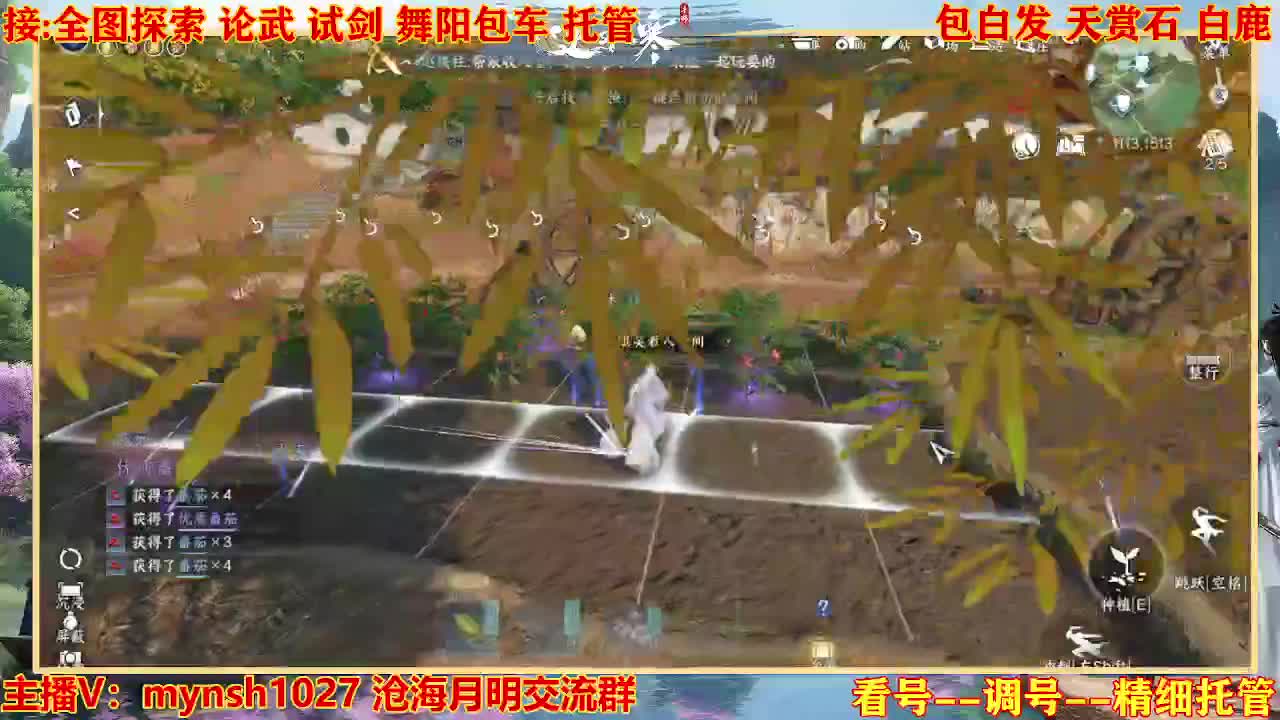 接舞阳秘境托管！ 第3段