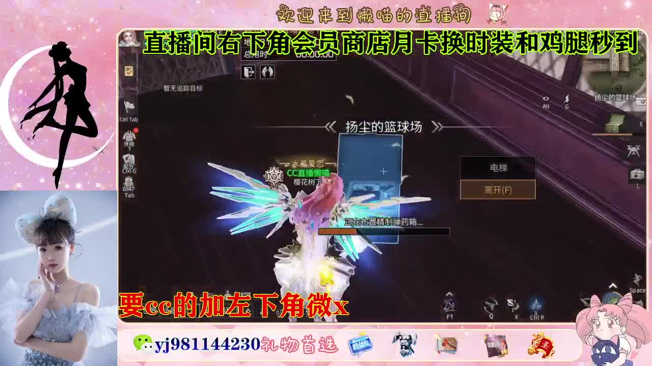 全套永久cc  全服秒发 第2段