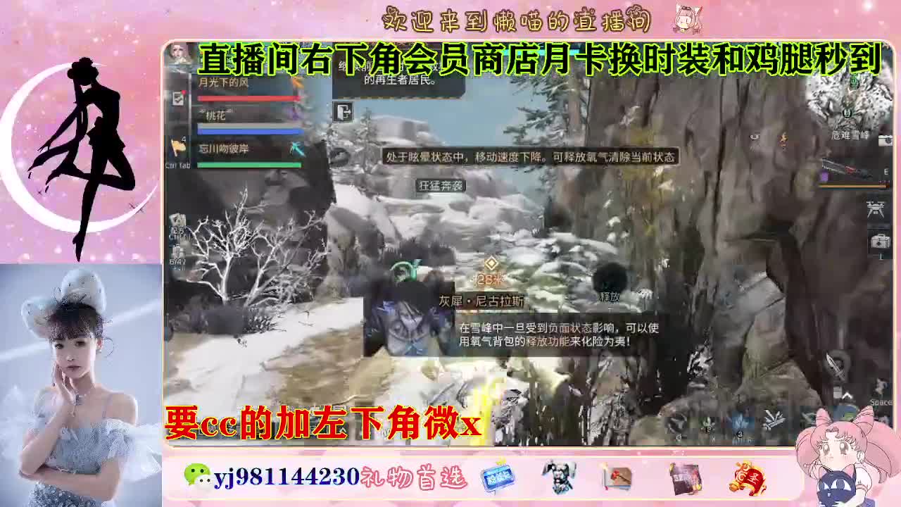 全套永久cc  全服秒发 第5段