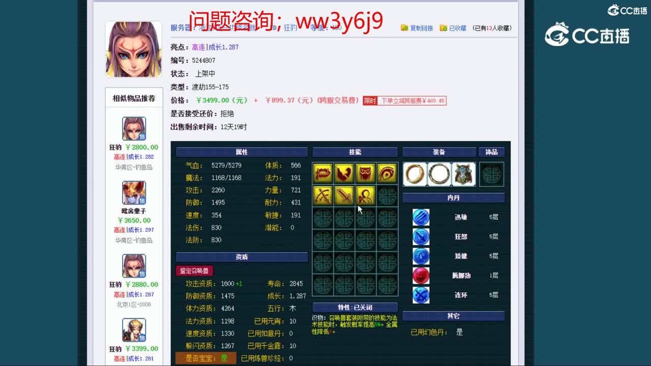 【主播点评】狂豹