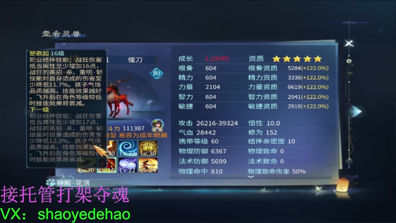 接托管打架 斗魂比武首席背饰 第3段