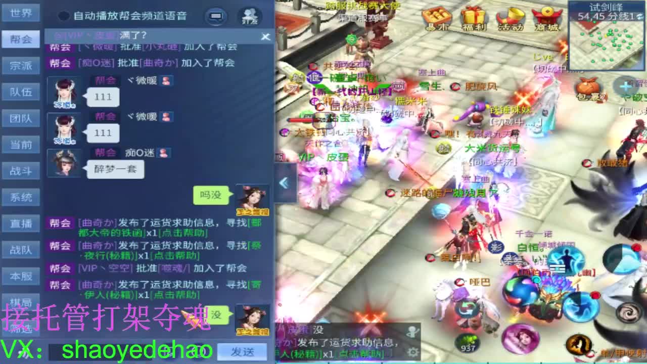 接托管打架 斗魂比武首席背饰 第6段