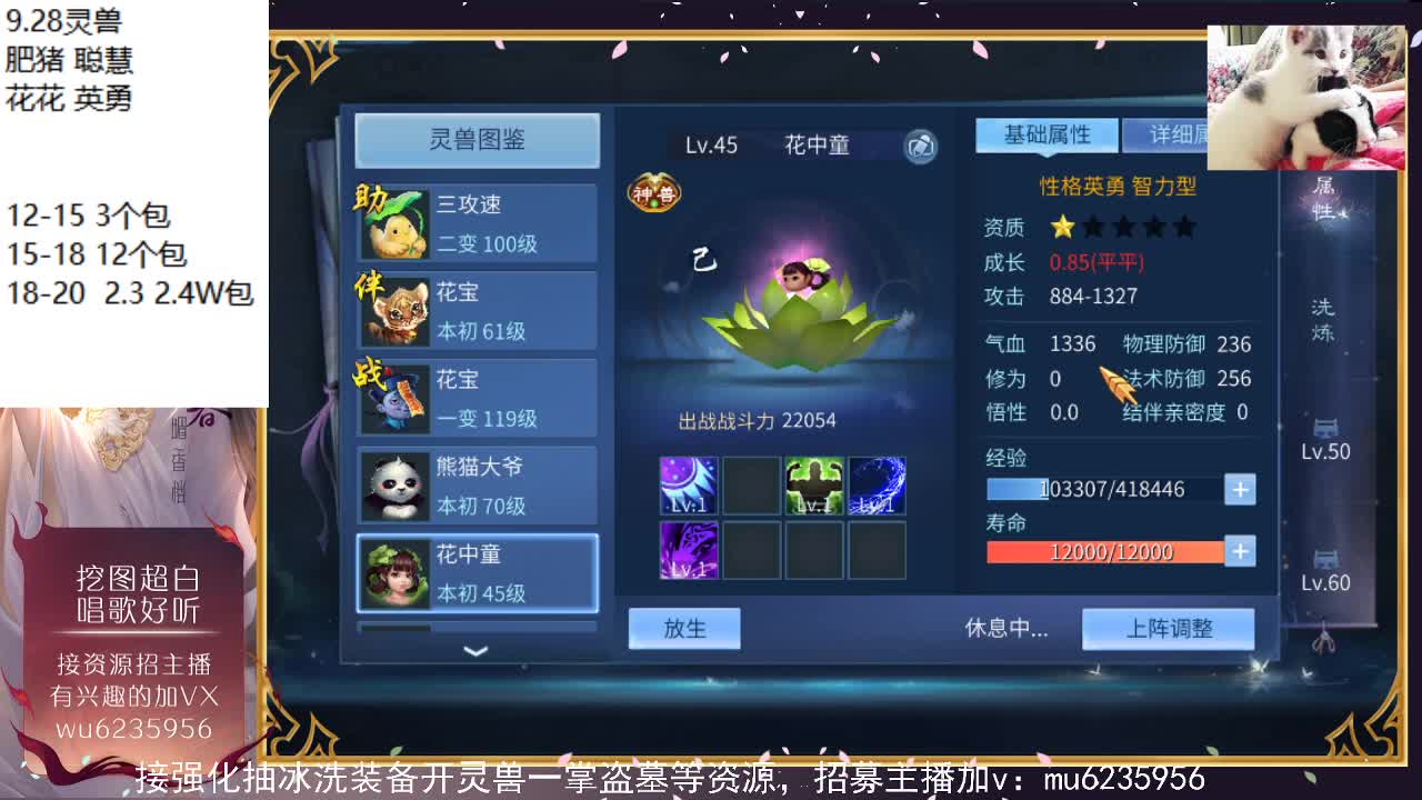 资源白，包强化~ 第1段