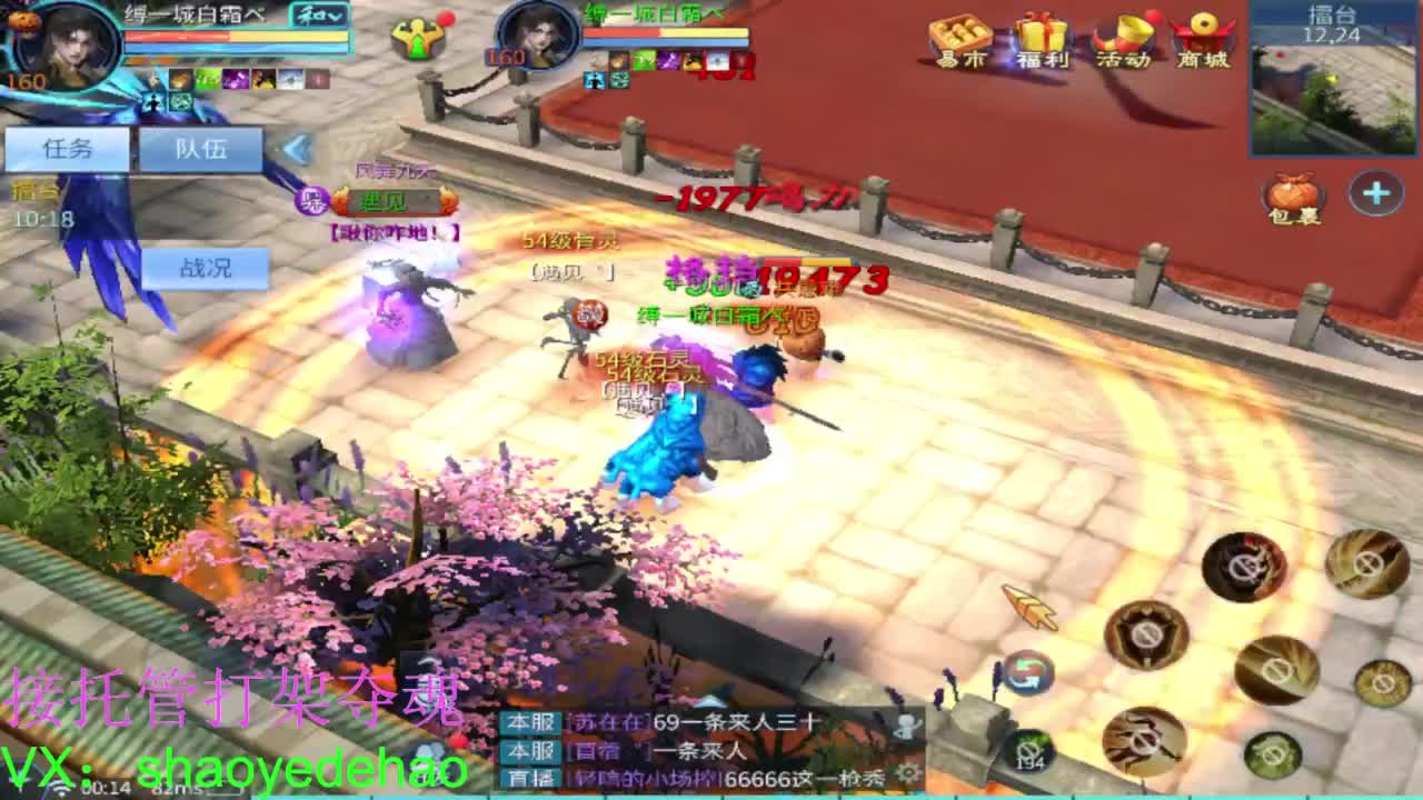 接托管打架 斗魂比武首席背饰 第5段