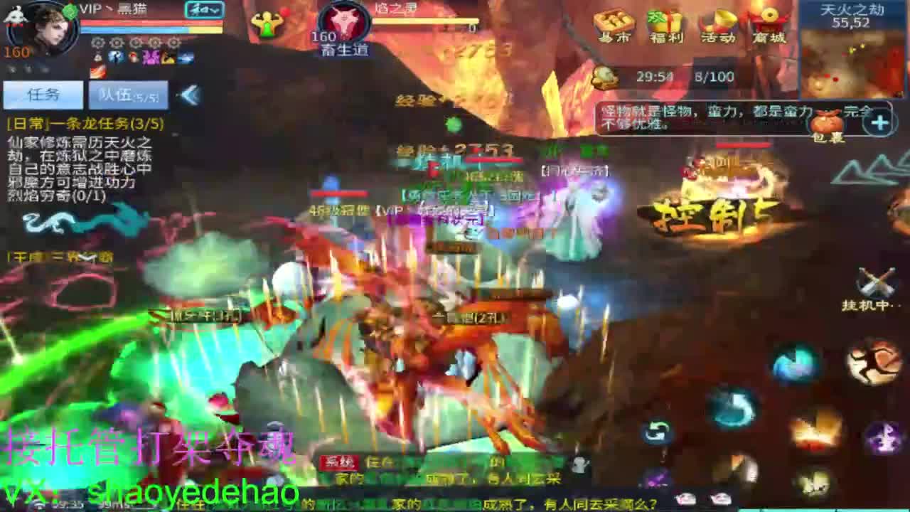 接托管打架 斗魂比武首席背饰 第2段