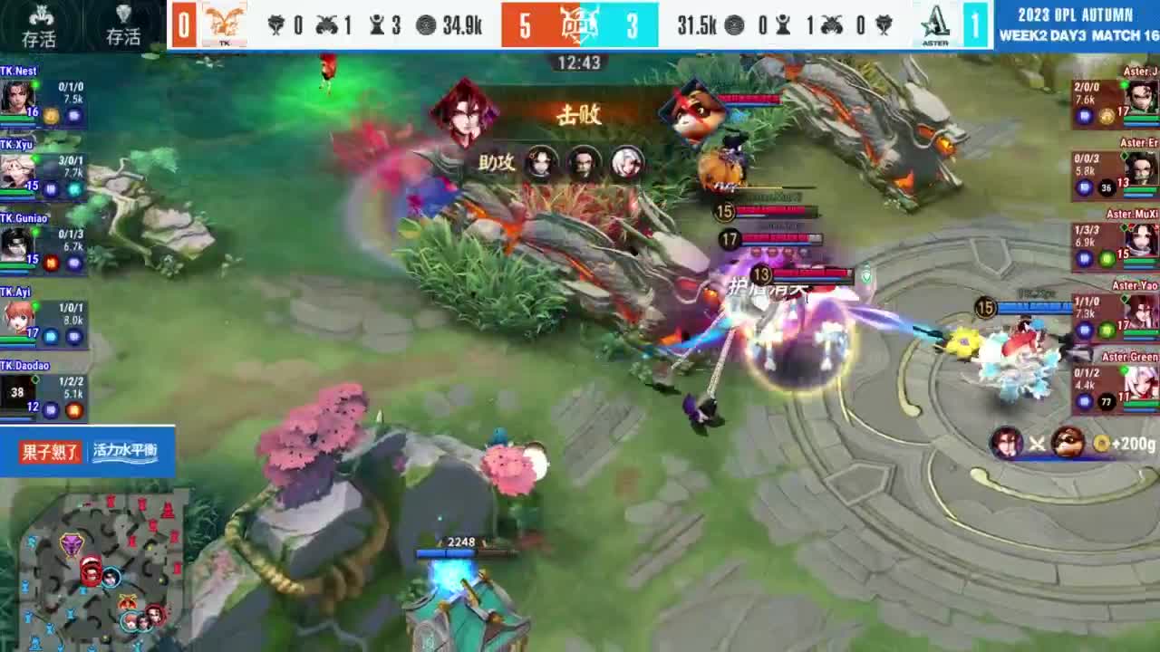 《决战！平安京》OPL秋季赛 第12段