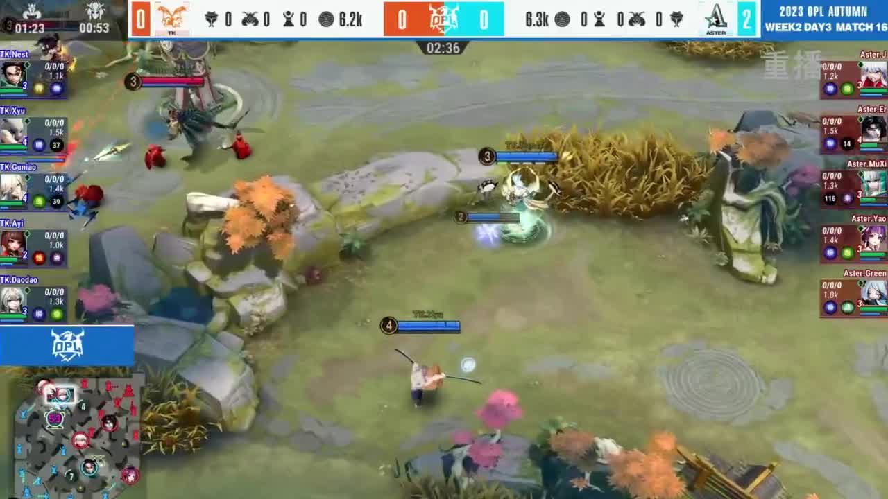 《决战！平安京》OPL秋季赛 第1段