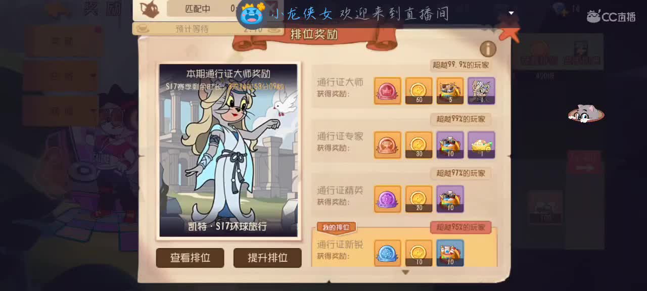 猫排位 第2段