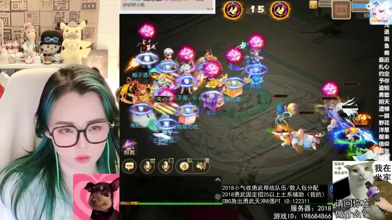 2018唱歌的勇武菜猪/点唱主播 第1段