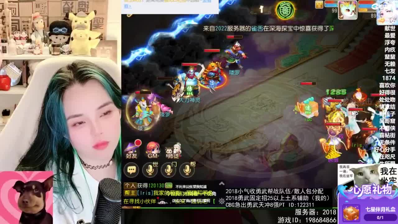 2018唱歌的勇武菜猪/点唱主播 第9段