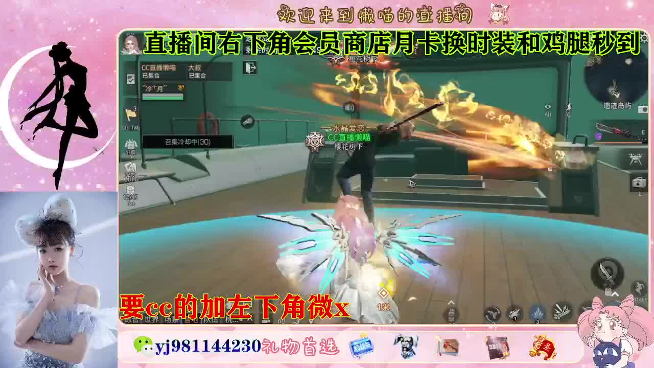 全套永久cc  全服秒发 第8段