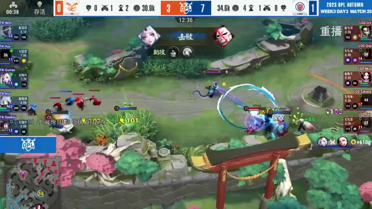 《决战！平安京》OPL秋季赛 第10段