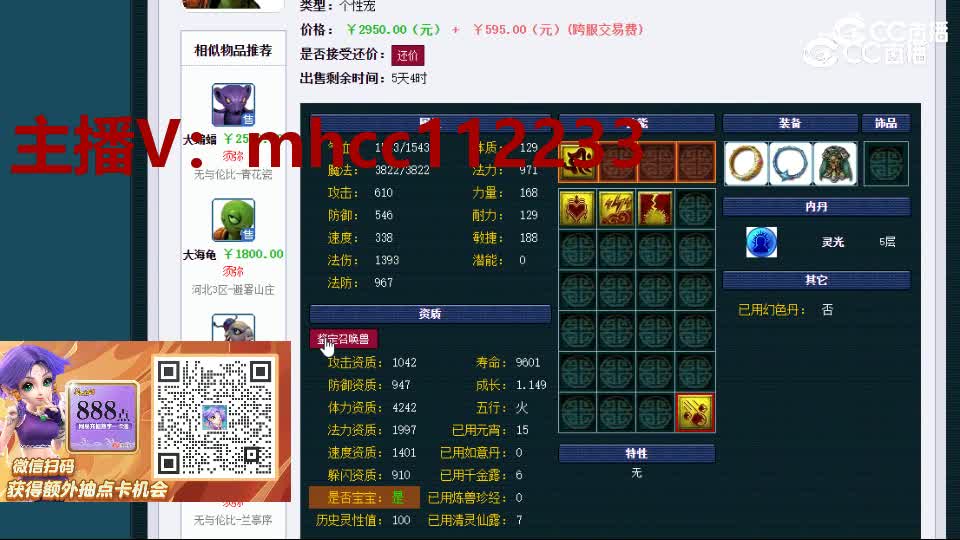 【主播点评】大海龟