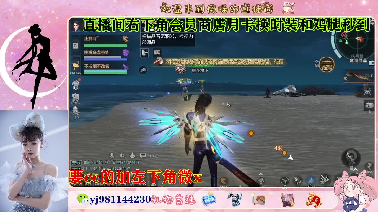 全套永久cc  全服秒发 第4段