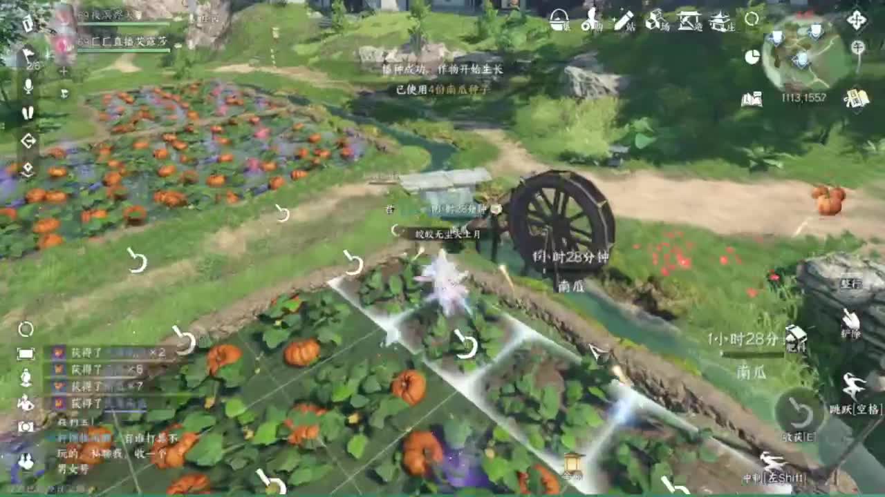 长草中 第7段