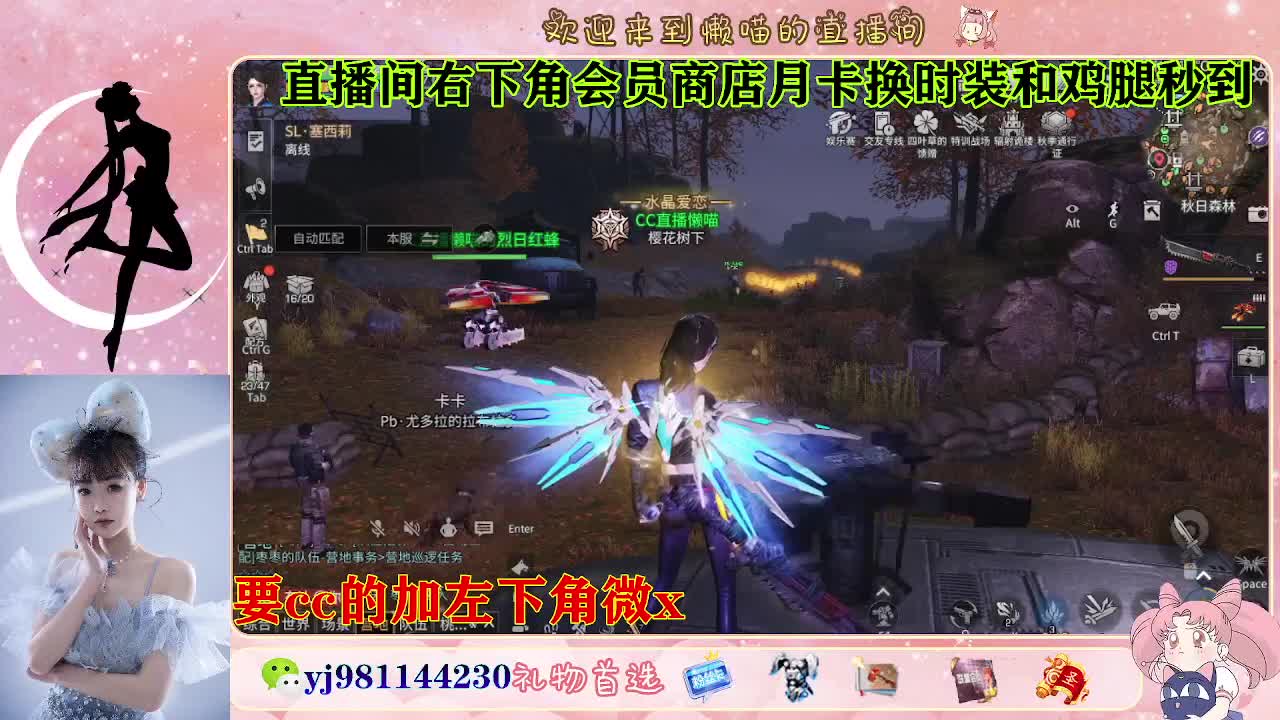 全套永久cc  全服秒发 第3段