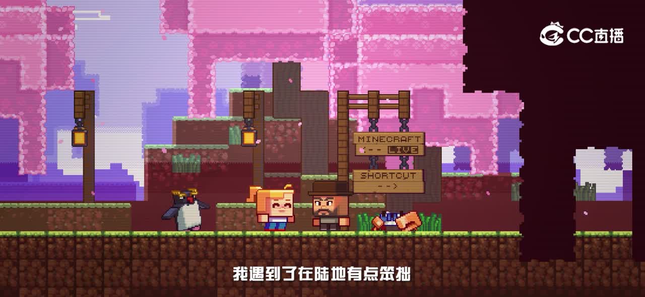 视频5-收尾介绍（中字幕）