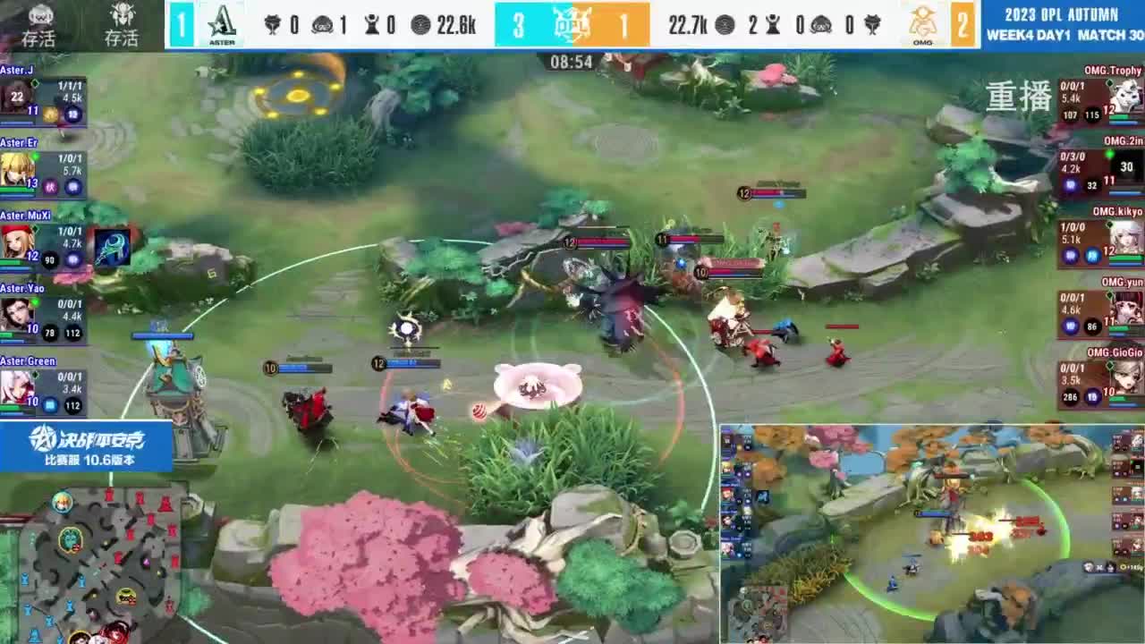 《决战！平安京》OPL秋季赛 第5段