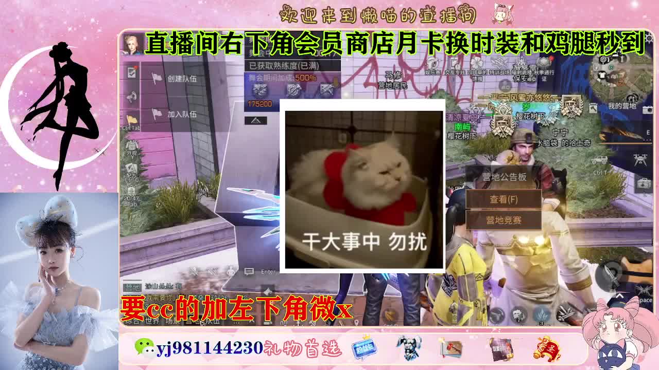全套永久cc  全服秒发 第4段