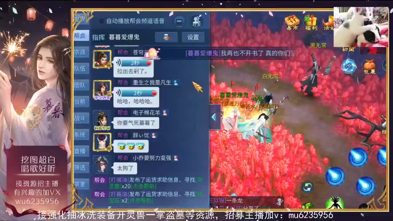 资源白，包强化~ 第7段