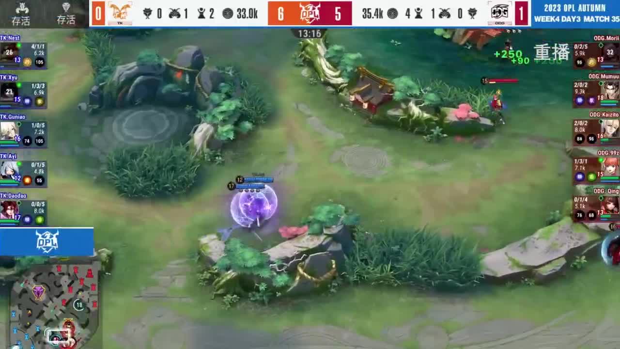 《决战！平安京》OPL秋季赛 第6段