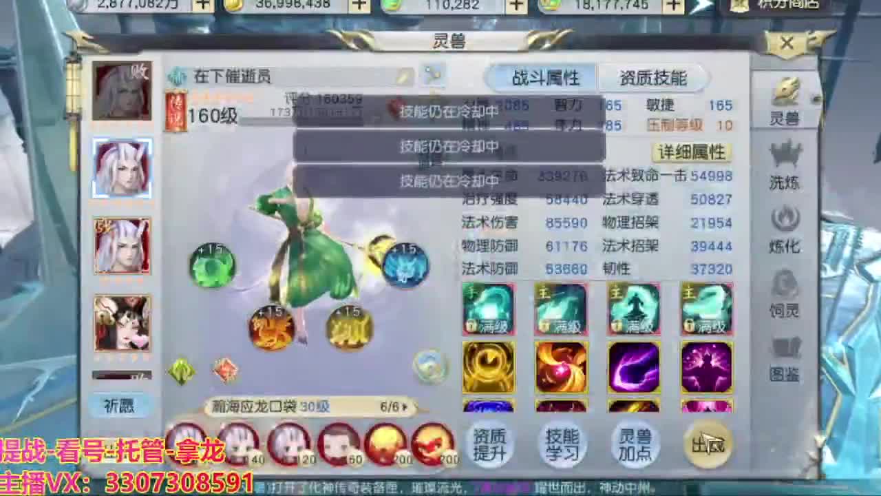 接舞阳秘境托管！ 第5段
