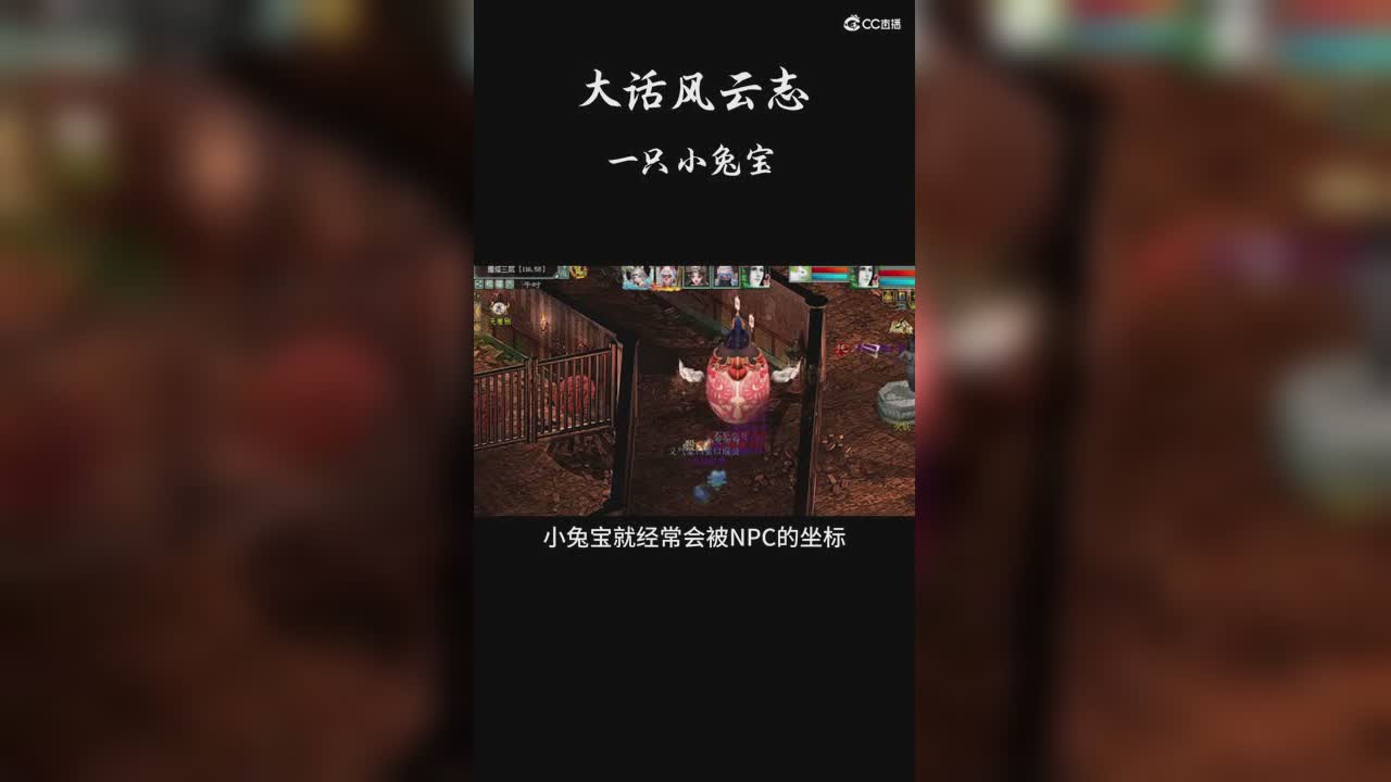 大话风云志-美女玩家一只小兔宝
