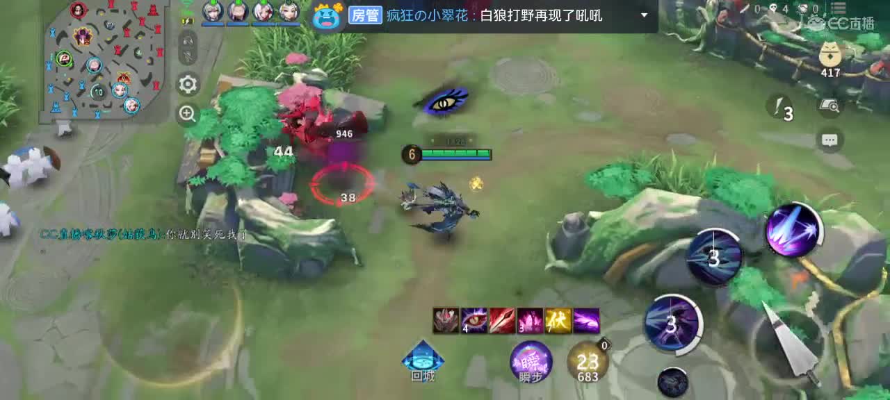 新赛季冲分 第9段